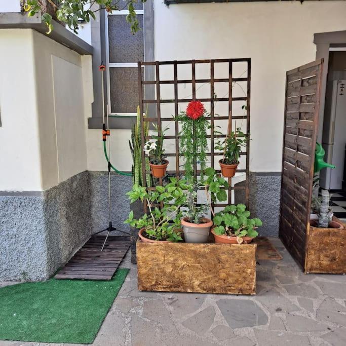 Chale Funchal - City View Zewnętrze zdjęcie